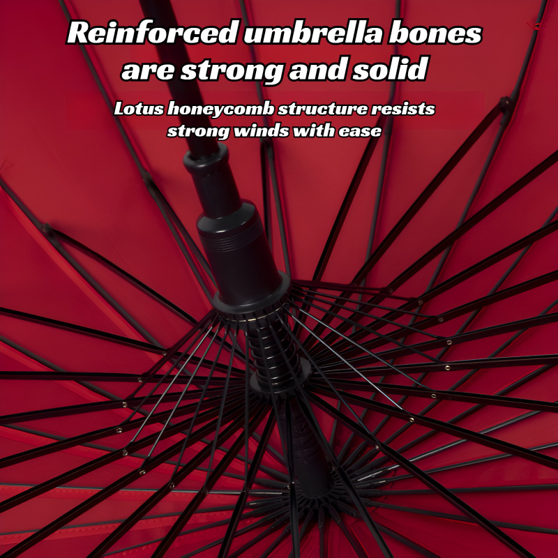 مظلة كبيرة جدًا بـ 24 عارضة هي - مراجعة Golf Umbrella Large وسعره
