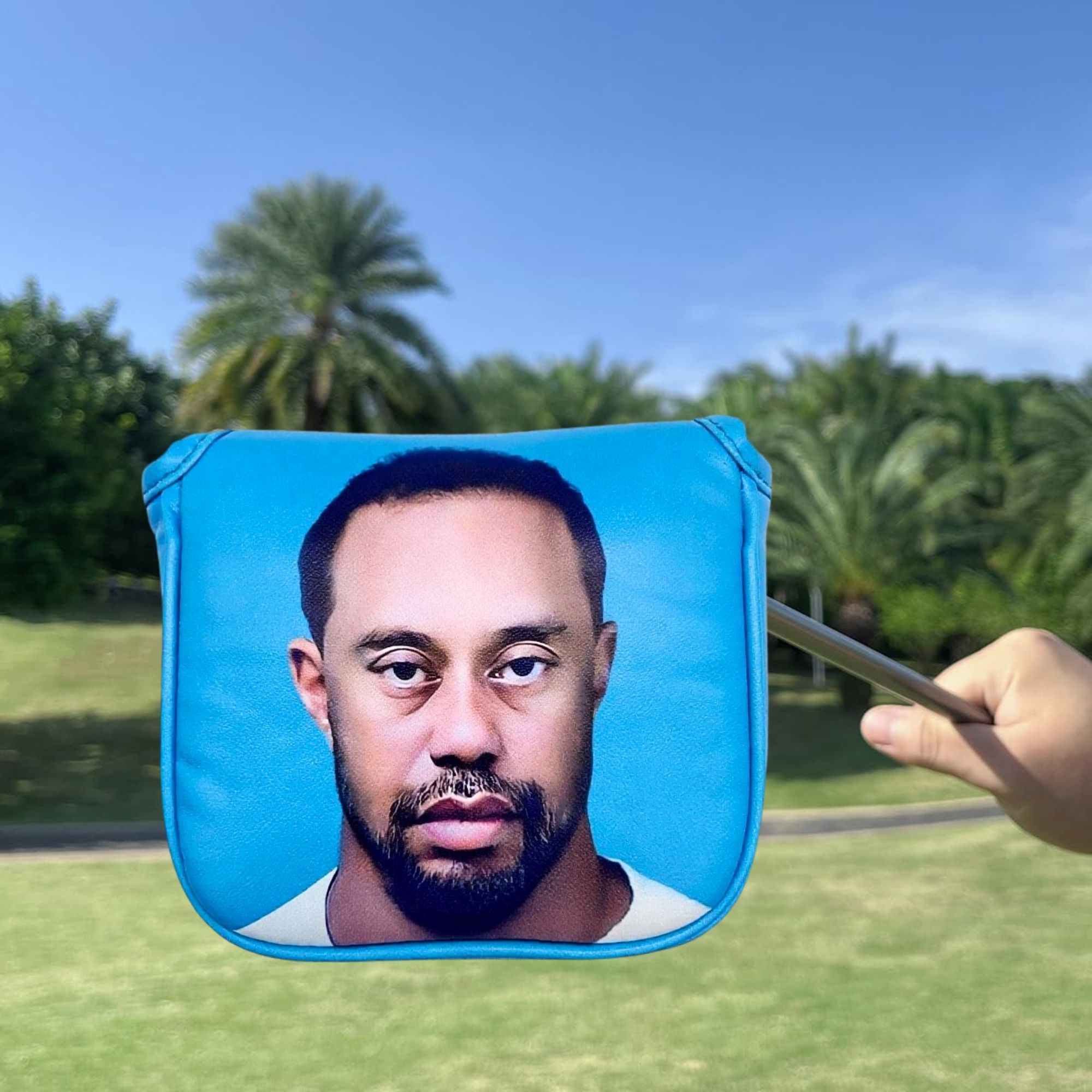 غطاء رأس مضرب الجولف المضحك، ه - مراجعة Golf Putter وسعره